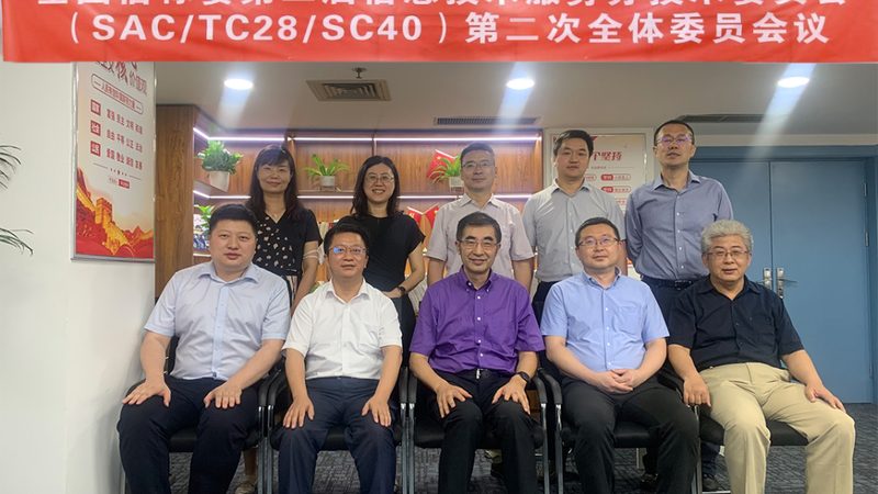 ERP实施与IT咨询：企业数字化转型的双翼