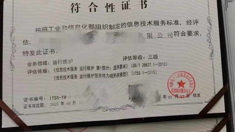 信息技术服务行业标准规范：解码企业选择之道